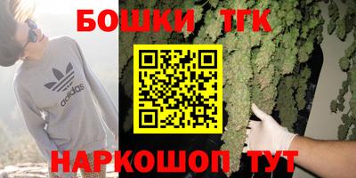 шишки Изобильный