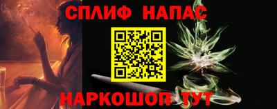 шишки Изобильный
