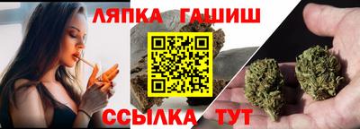 шишки Изобильный