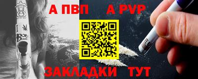 шишки Изобильный