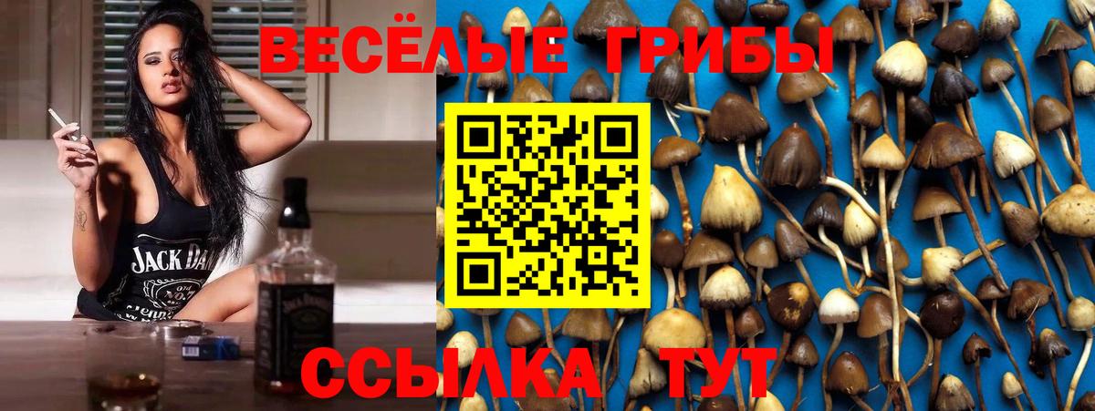 Галлюциногенные грибы Magic Shrooms  Вход с VPN  Лесной 